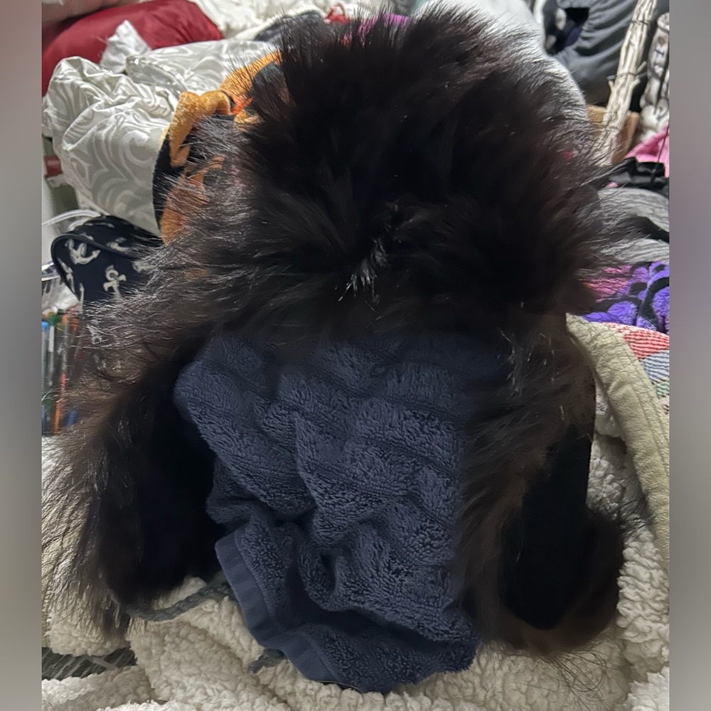 Black Bear Trapper Hat